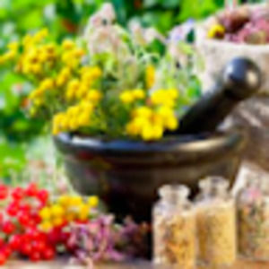 Meet your Posher, Marina